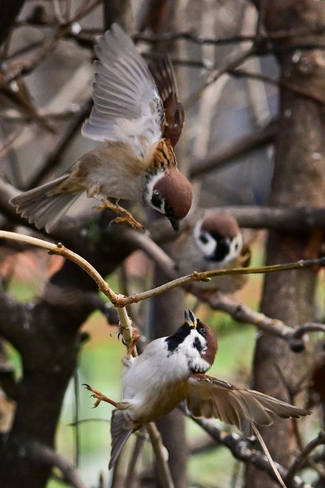 Photograph by Olga Parkhimovich