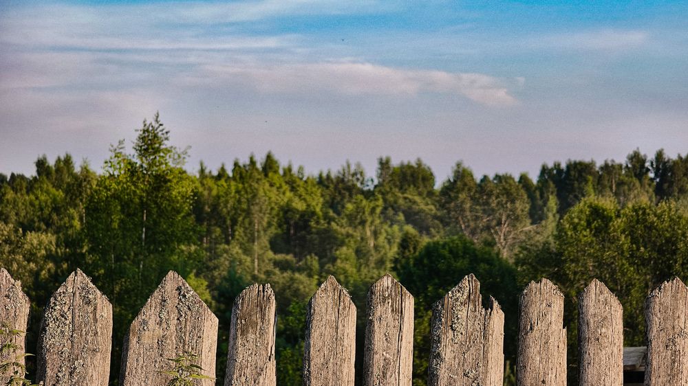Photograph by Александр