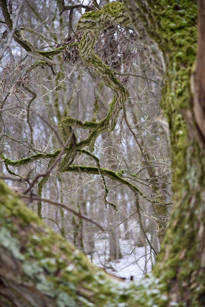 Photograph by Ольга Струкалина