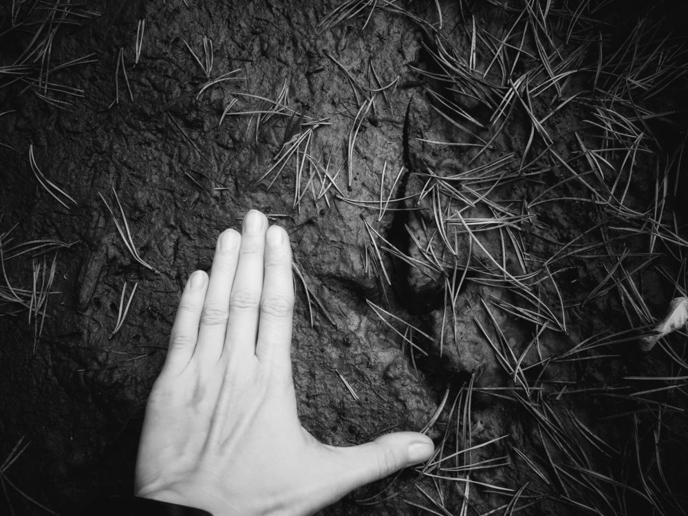 Фотография автора Екатерина Солохина