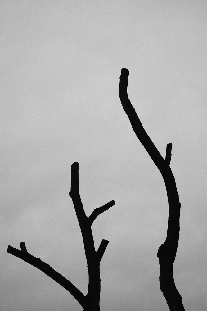 Photograph by Бирюков Павел