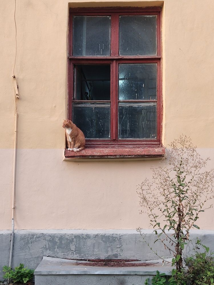 Фотография автора Catherine Shashkova