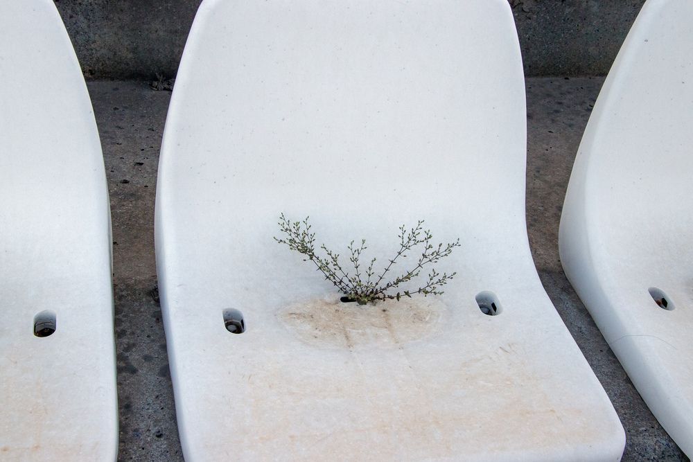 Photograph by Ali Ahmadian