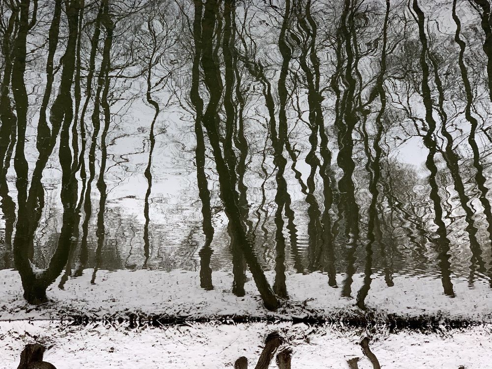 Photograph by Надежда Смирнова