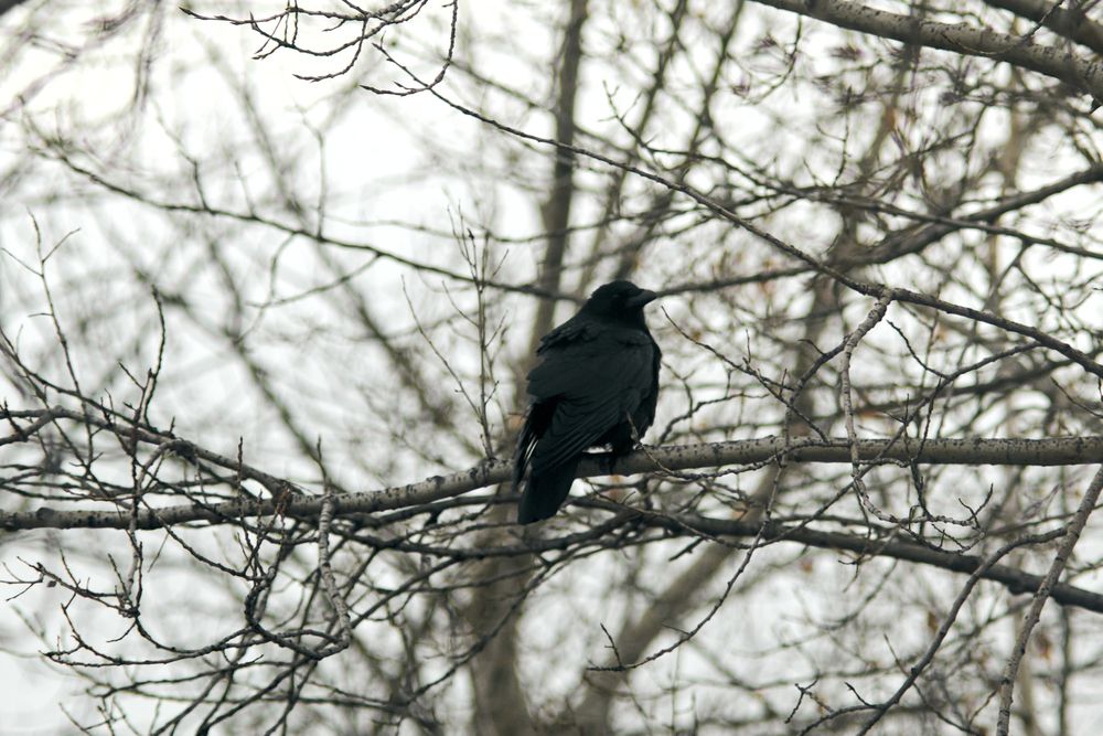 Photograph by Евгения Супрыгина