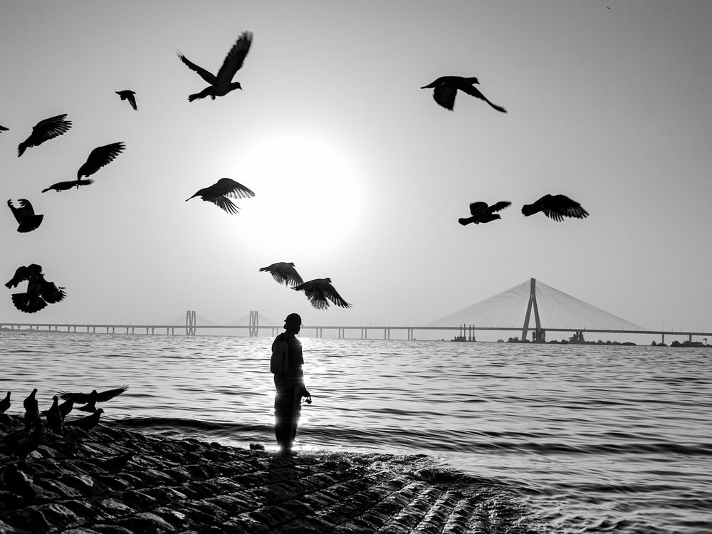 Фотография автора Kushal Lad