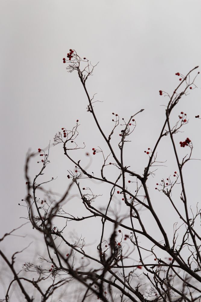 Photograph by Екатерина Брехова