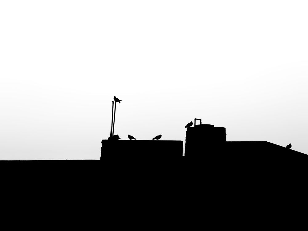 Photograph by Puru Raj