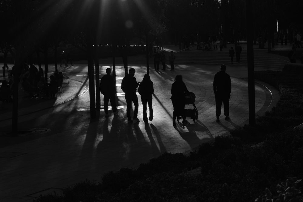 Photo #12951736
