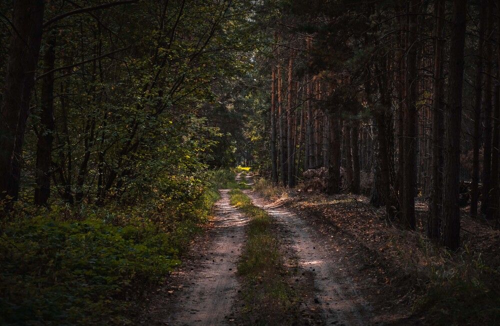 Photograph by Vladimir Frolov (1stMOD)
