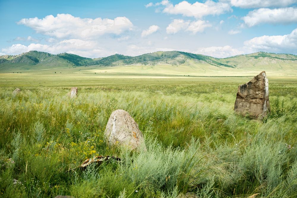Курганы