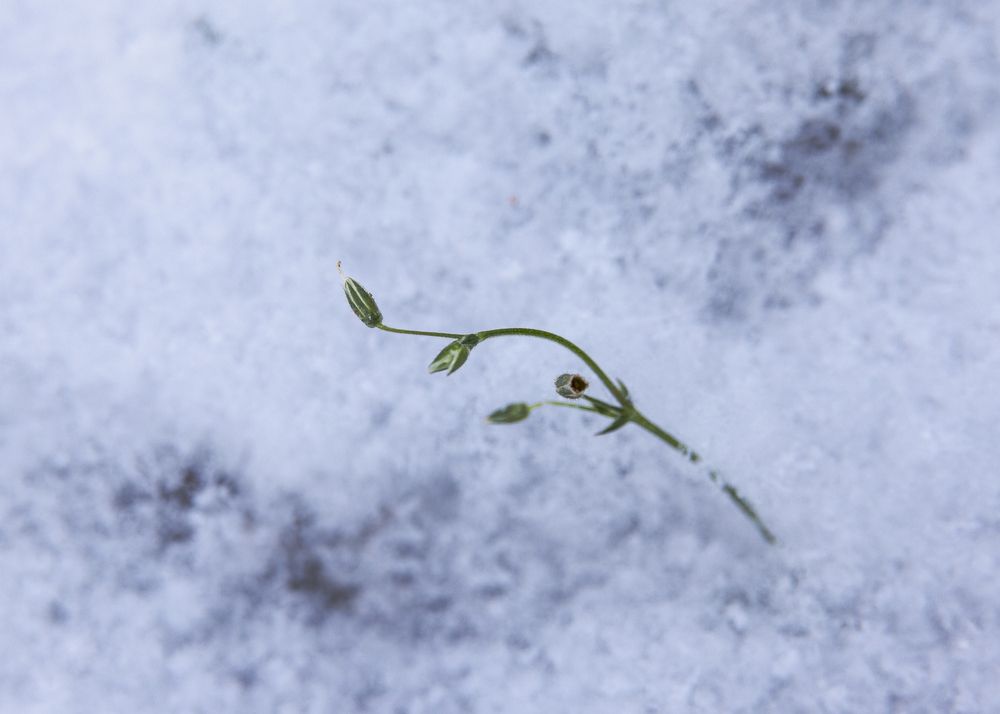 Фотография автора Ирина Гриценко