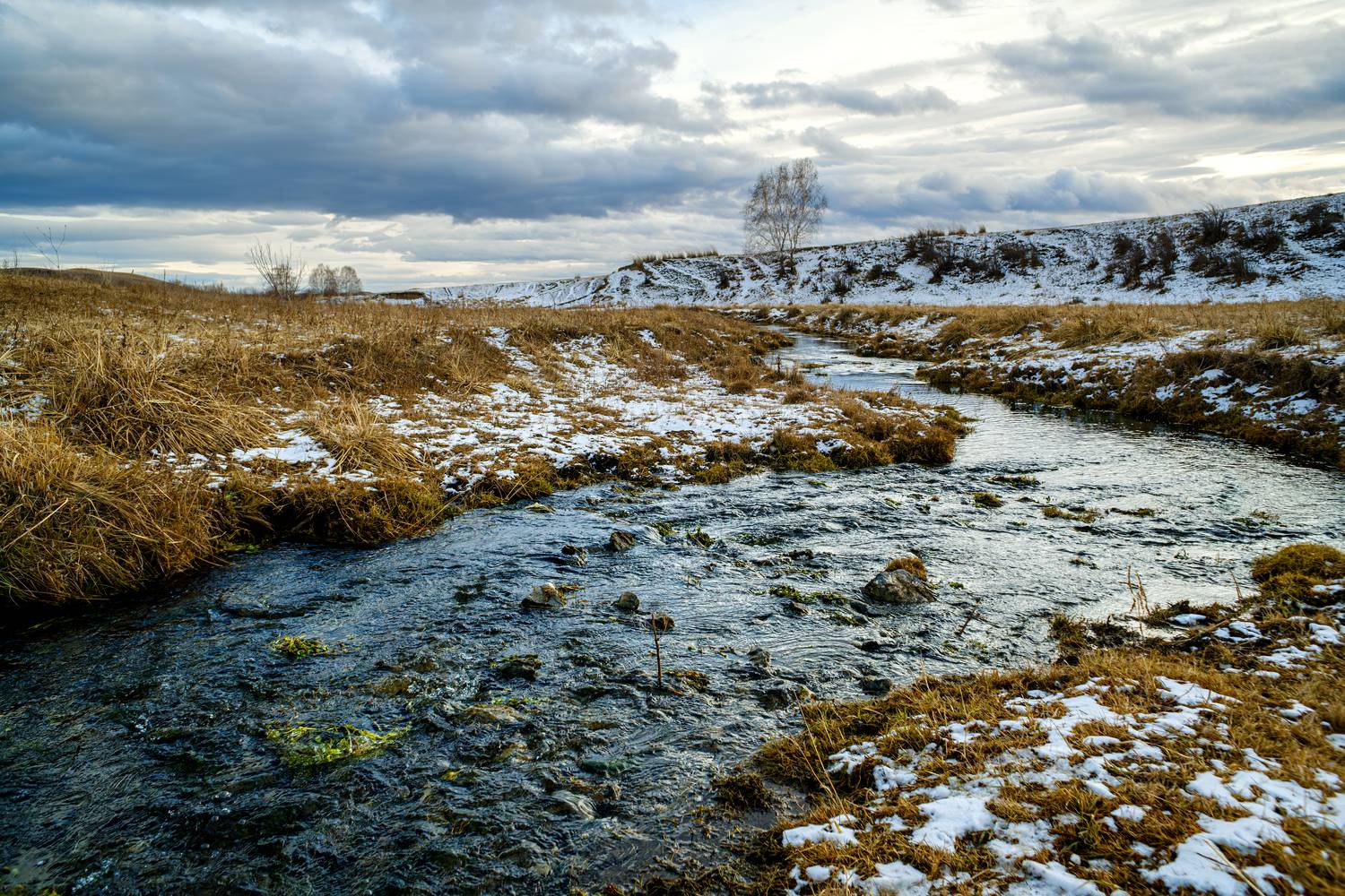 Прохладный ручей Прохладный ручей