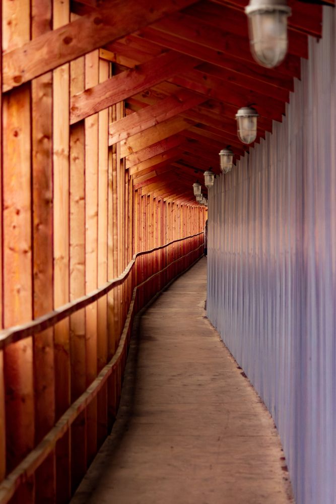 Photograph by Никита Иванов