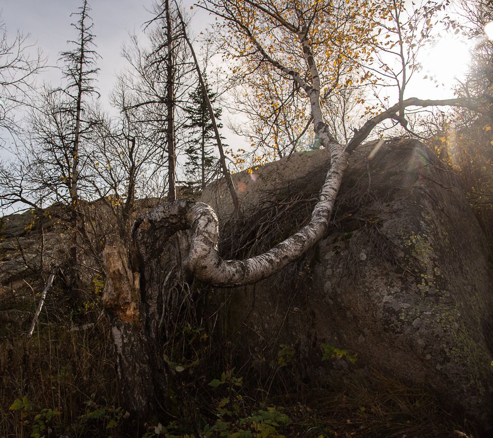 Photograph by Ирина Яук