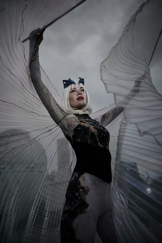 Photograph by Adler Roman