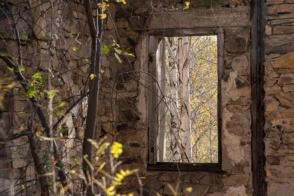 Photograph by Ирина Яук