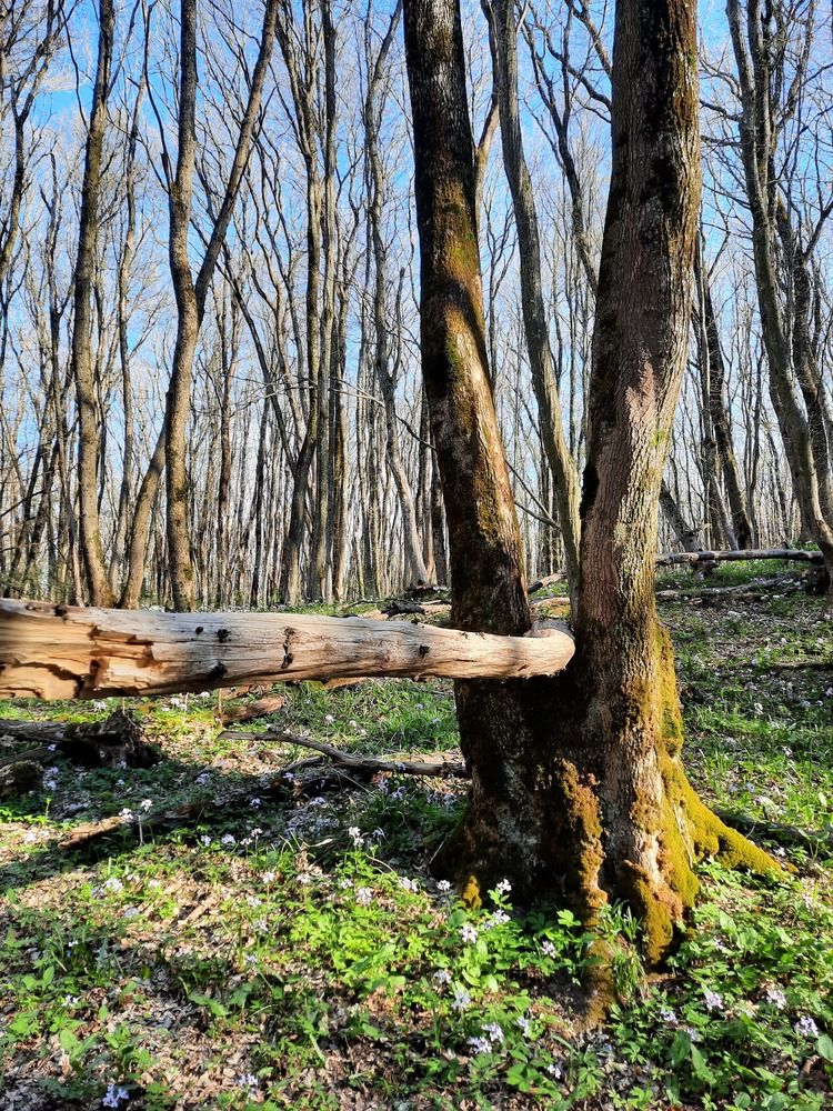 Photograph by Елена