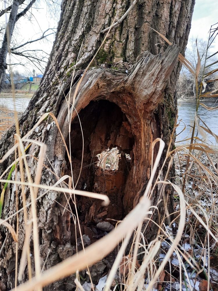 Photograph by Елена