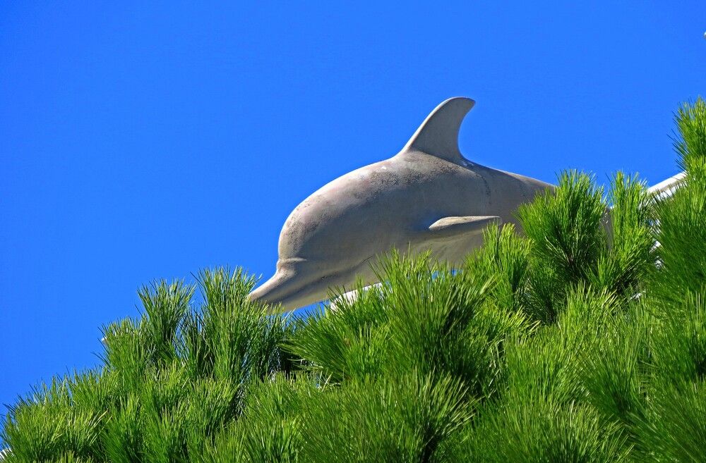 Photograph by Фартушняк Сергей