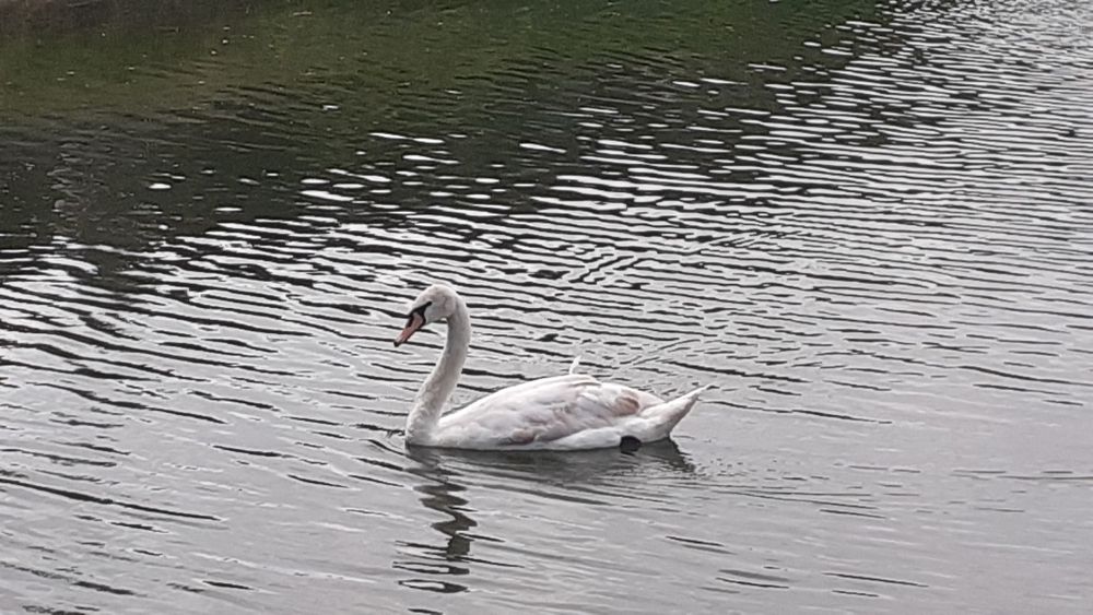 Photograph by Елена Лещева