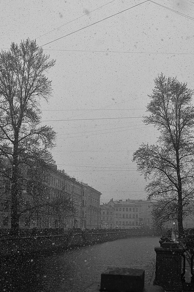 Фотография автора Ольга Пушленкова