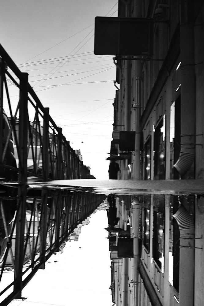 Фотография автора Ольга Пушленкова