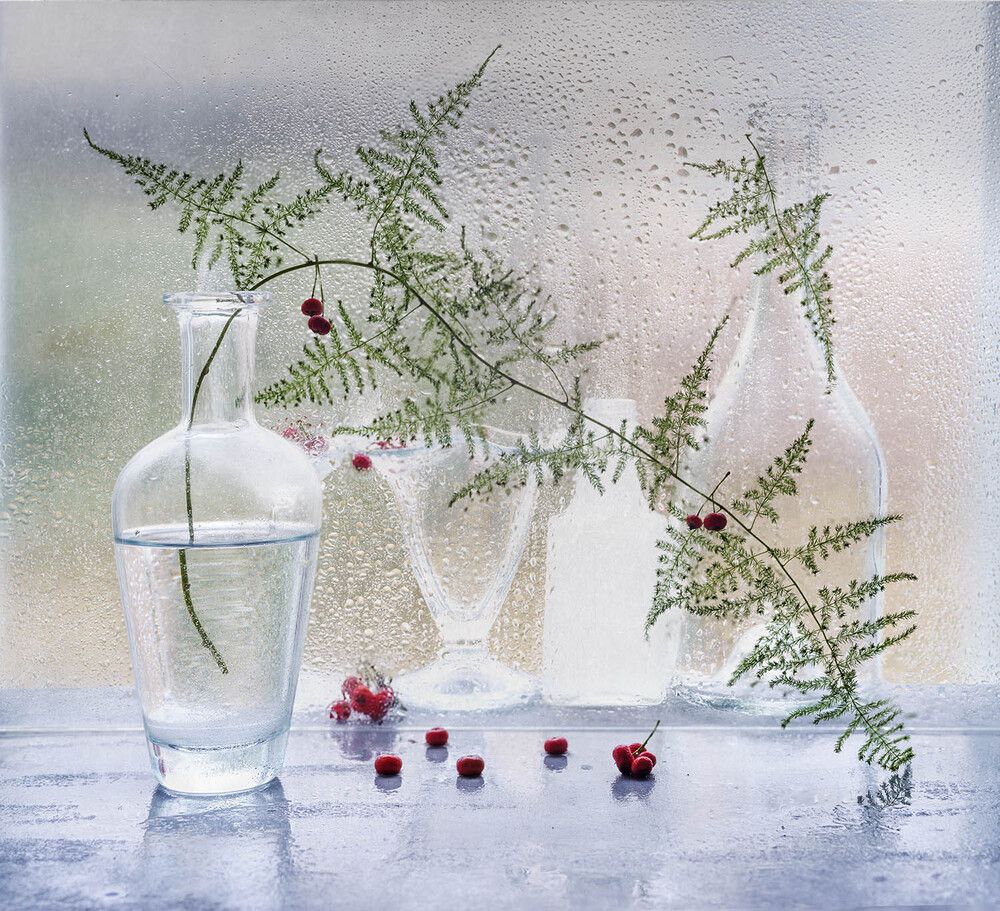 Photograph by Солодар Виктория