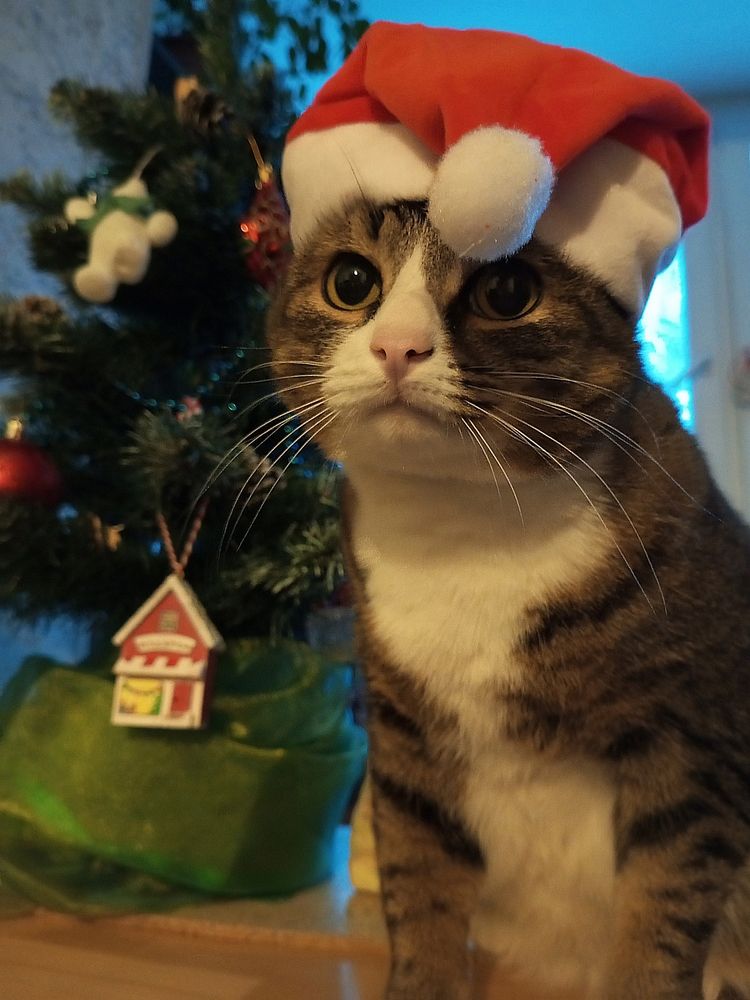 Скоро Новый год