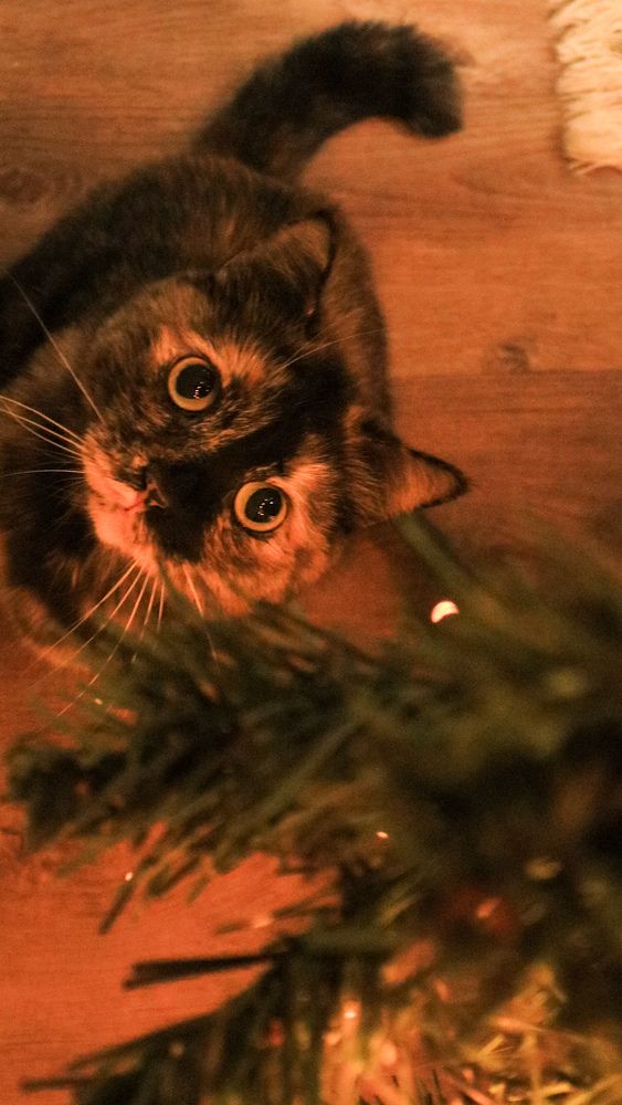 Photograph by Иван Бортяков