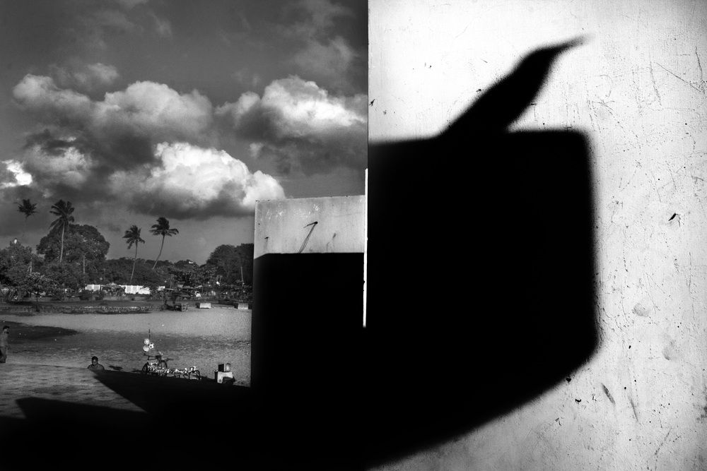 Shadow / Sky
