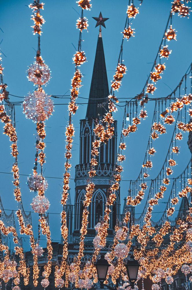 Фотография автора Елизавета Синицына