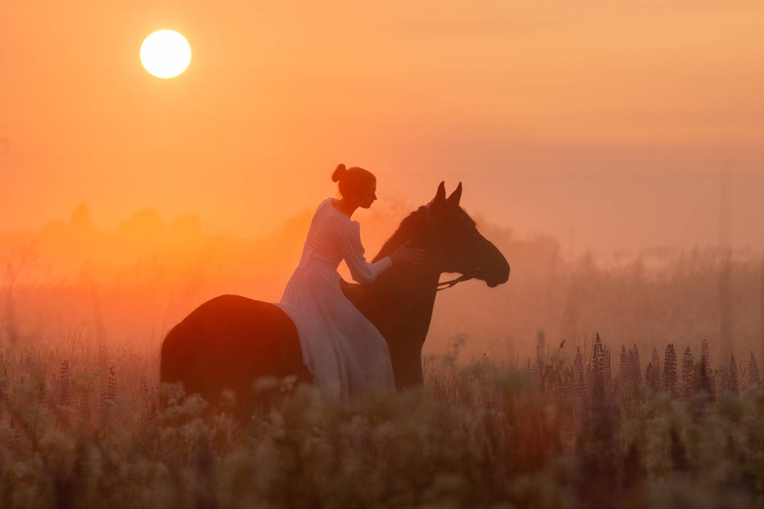 На рассвете