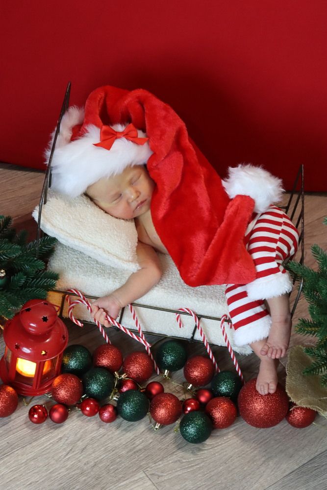 Фотография автора Мария Толкачёва