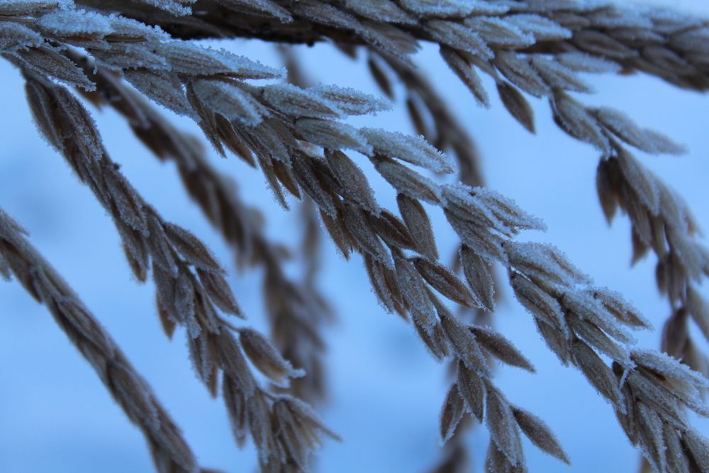 Фотография автора Юлия