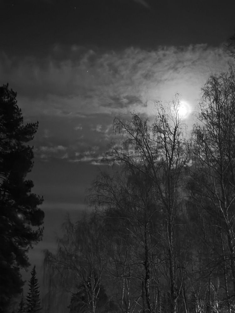 Photograph by Виталий Черепенькин