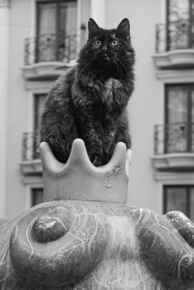Photograph by Наталия Козлова