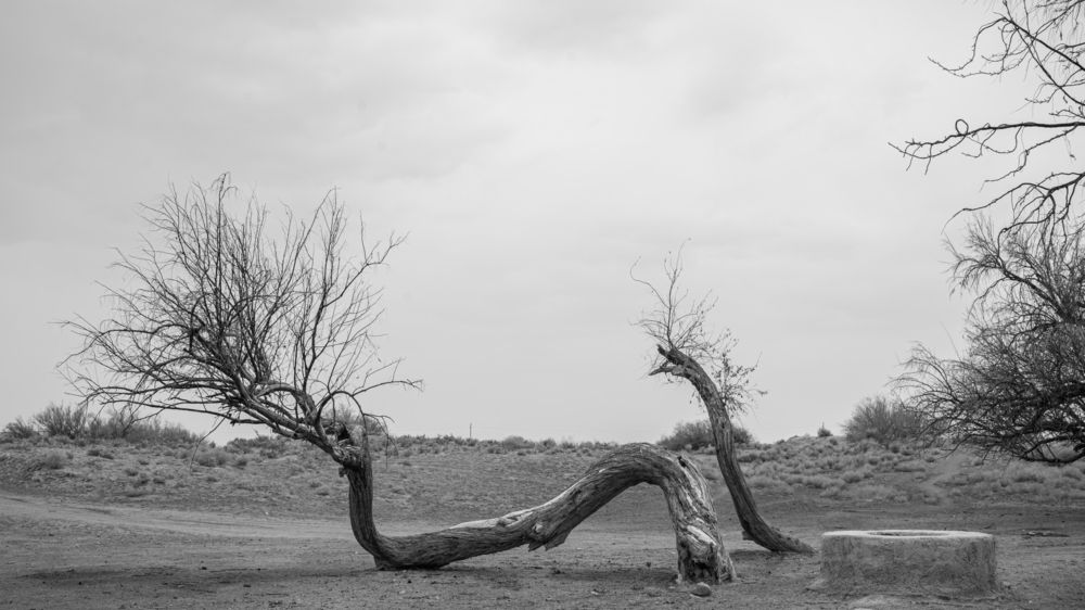 Photograph by Ehsan Ghaf