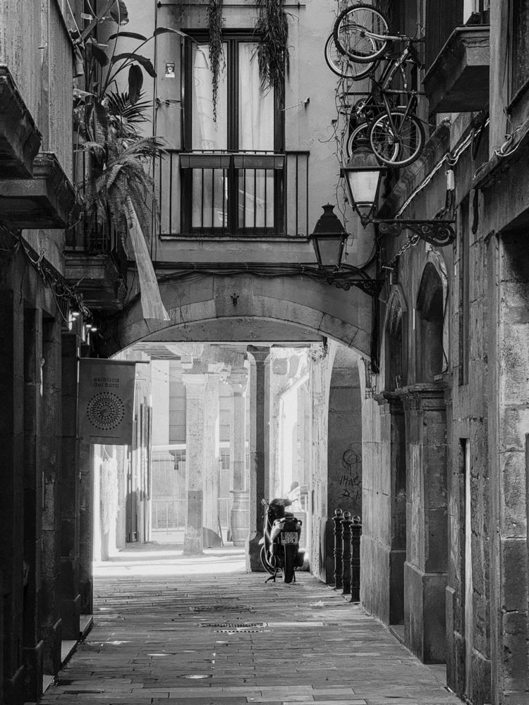 Photograph by Julia Smilovitsky