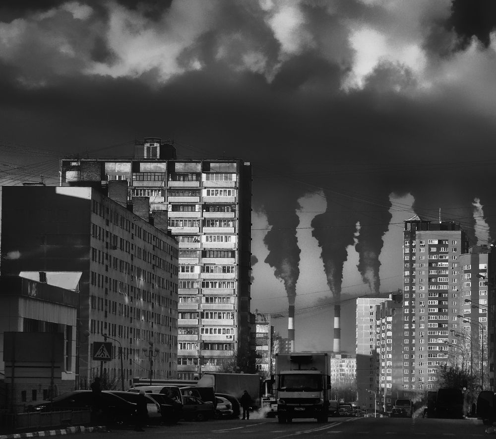 Фотография автора Vera Eremeeva