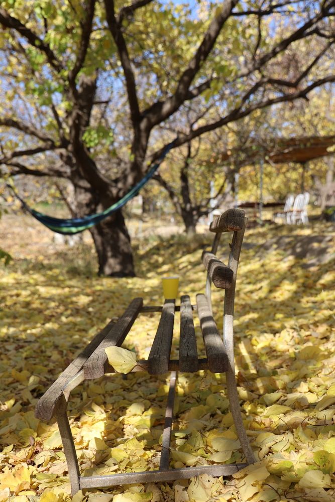 Photograph by Марина