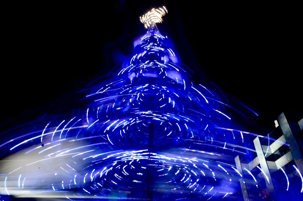 Photograph by Dario Meroni