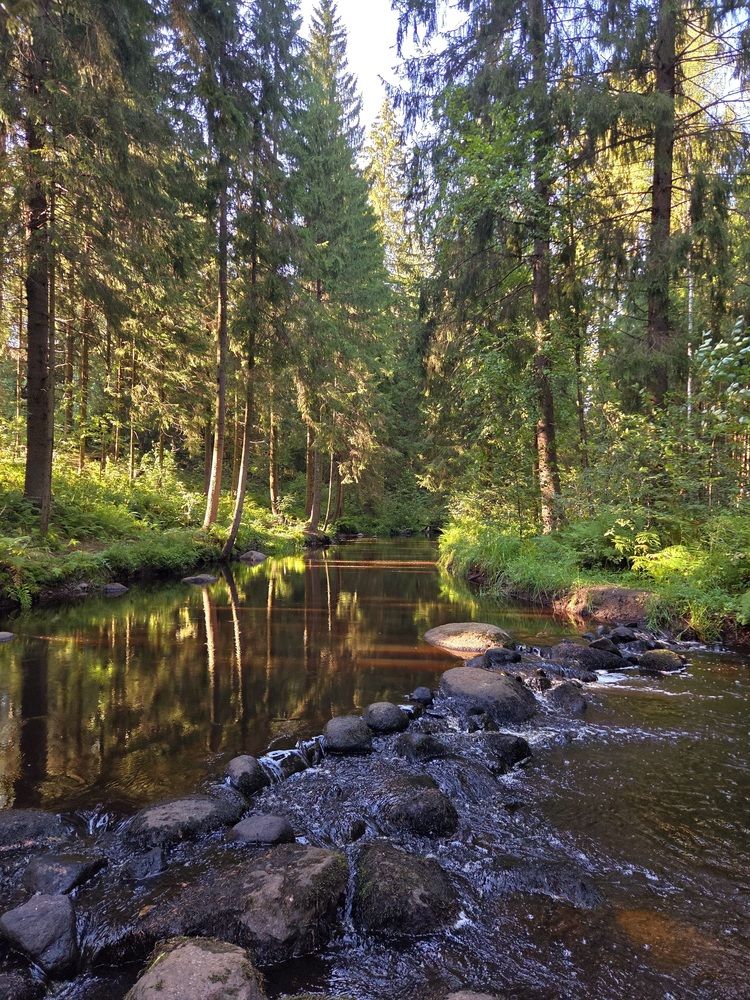 Photograph by Inna Evseeva