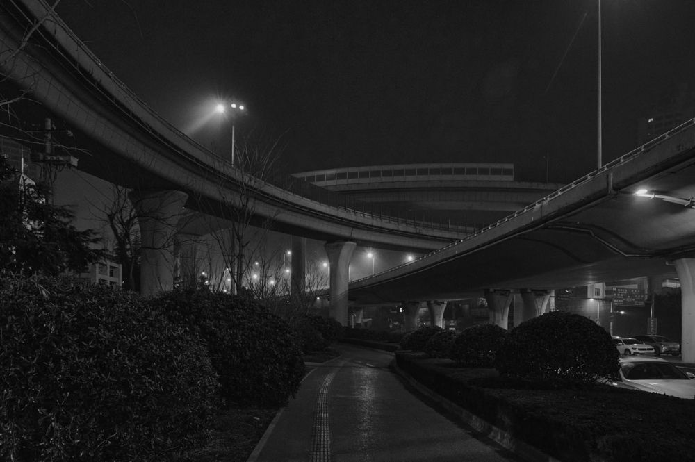 Photograph by Adler Roman