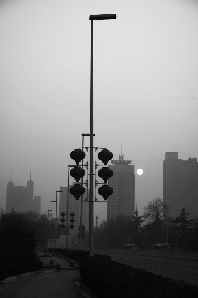 Photograph by Adler Roman