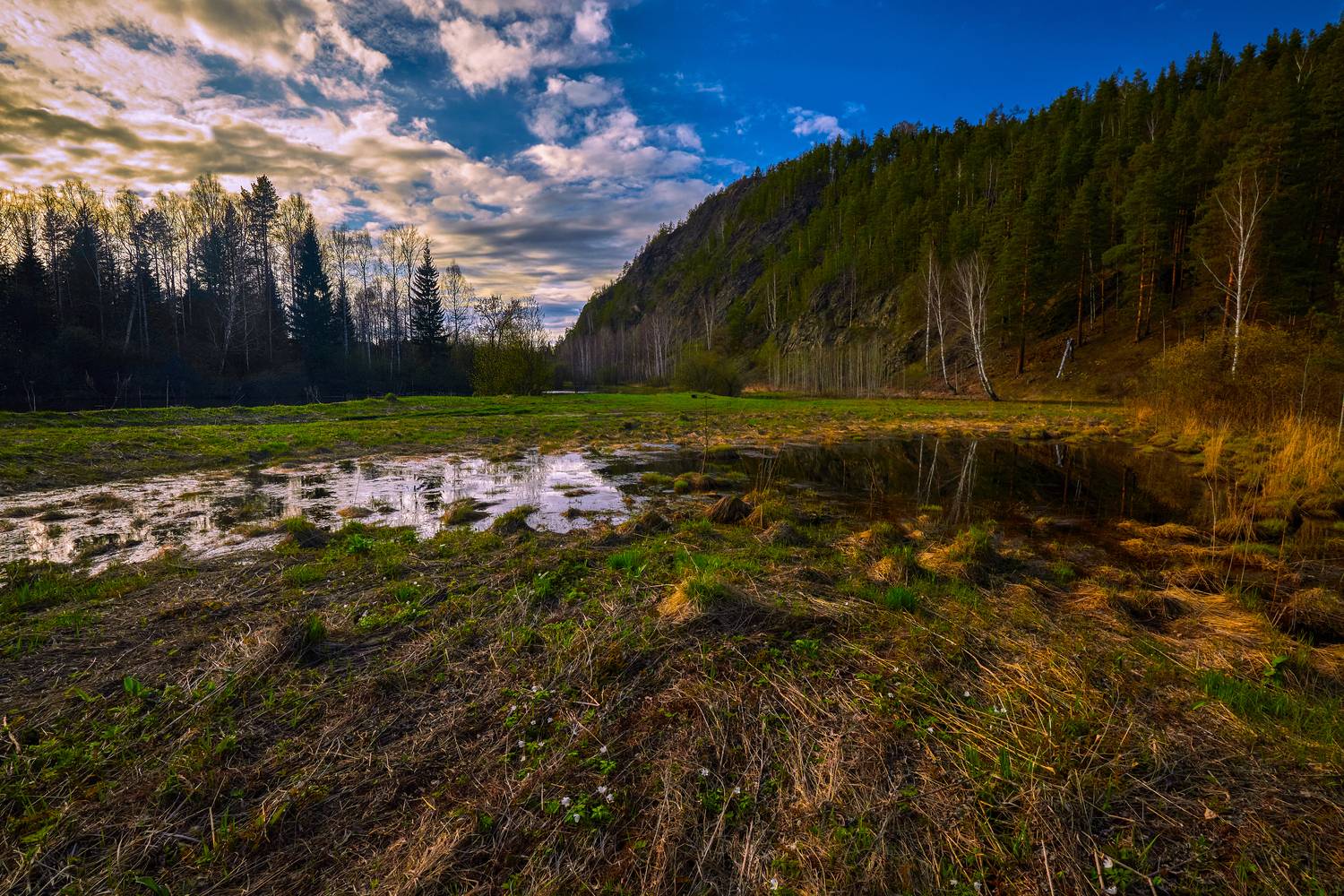 Заходило майское солнце.