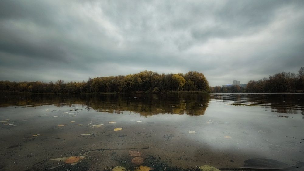 Photograph by Наталья Гущина