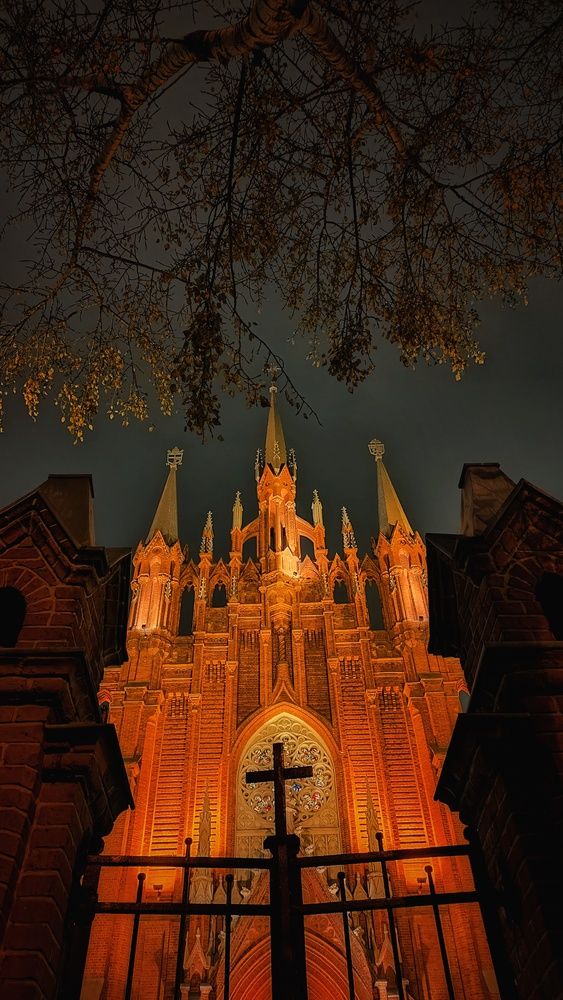 Photograph by Наталья Гущина