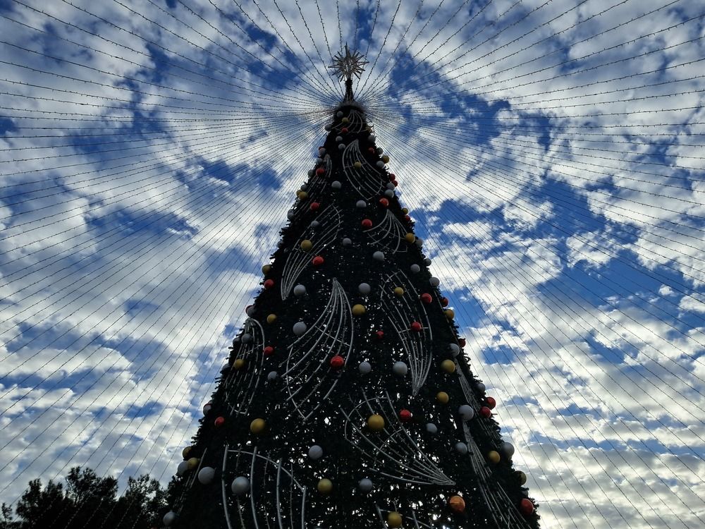 Photograph by Анастасия Кузьменко