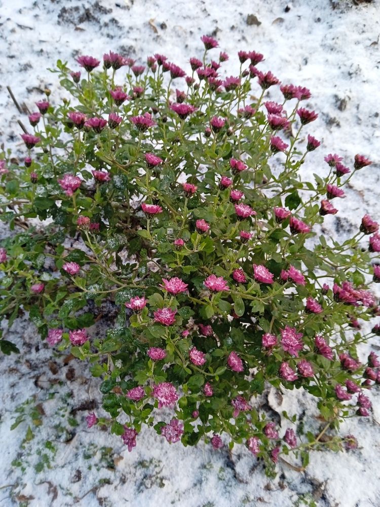 Photograph by Светлана